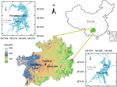 Unveiling the ecological significance of phosphorus fractions in shaping bacterial and archaeal beta diversity in mesotrophic lakes